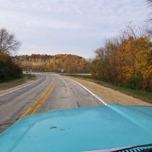 Meet your Posher, Morgan